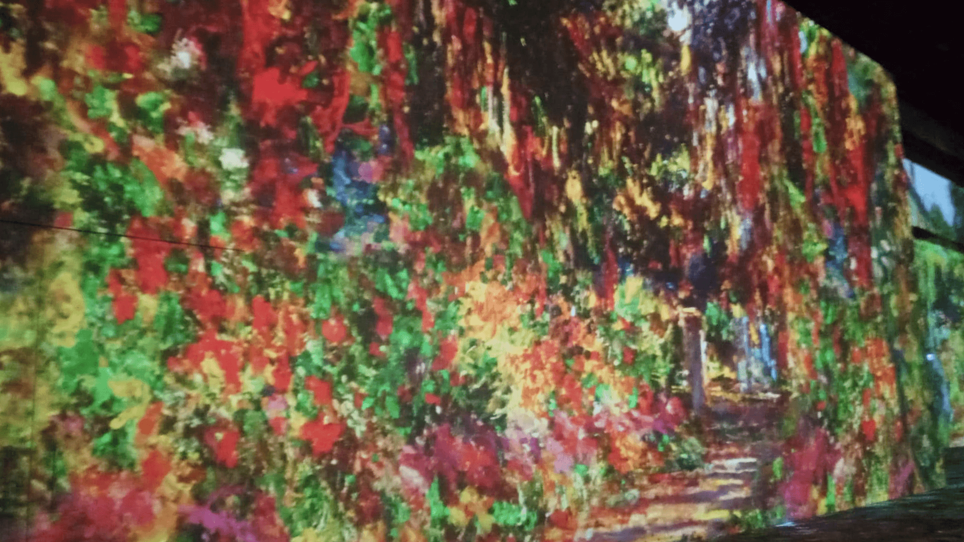 2025-10-23 Ausflug Luminiere Phoenix West Monet 6
